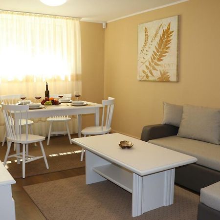 Cluj City Center Apartment Kültér fotó